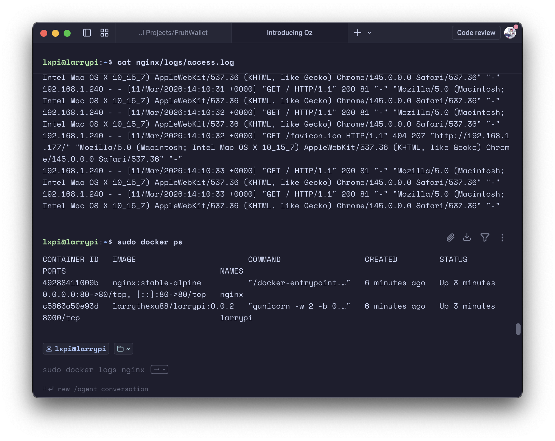 Docker Compose Processes